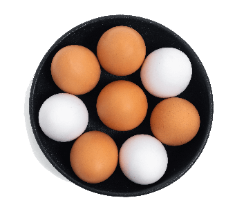 Brown Eggs